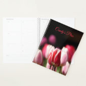 Tulipe rouge et blanche (Devant avec enveloppe)