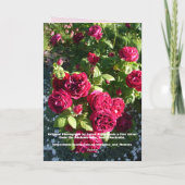 Tulipe Tulipe Fleur rose rouge Carte d'anniversair (Dos)