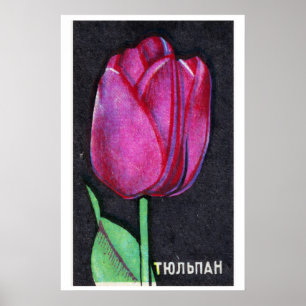 Tulipe Violette - Impression Boîte d'Allumettes -