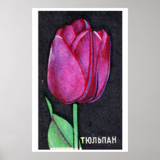 Tulipe Violette - Impression Boîte d'Allumettes - (Devant)