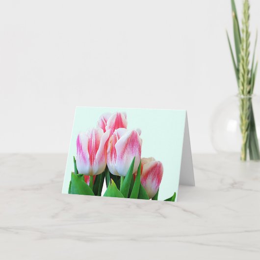 Tulipes (Devant)