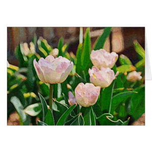 Tulipes à menthe poivrée (Impasto)