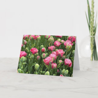 Tulipes à profusion Carte de vœux vierge