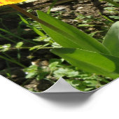 Tulipes au soleil Impression (Coin)