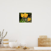 Tulipes au soleil Impression (Cuisine)