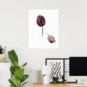 Tulipes blanc poster fleurs violettes (Bureau à domicile)