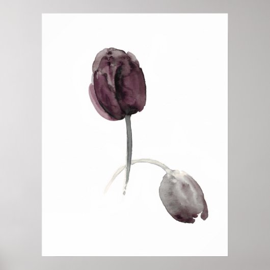 Tulipes blanc poster fleurs violettes (Devant)
