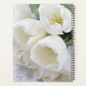 Tulipes blanches (Dos)