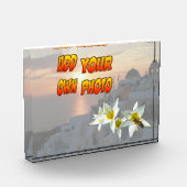 Tulipes blanches avec bloc photo (Gauche)