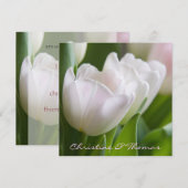 Tulipes blanches ・ Carte postale de Save the Date (Devant / Derrière)