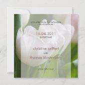 Tulipes blanches ・ Carte postale de Save the Date (Dos)