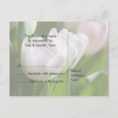 Tulipes blanches ・ Carte postale RSVP (Dos)