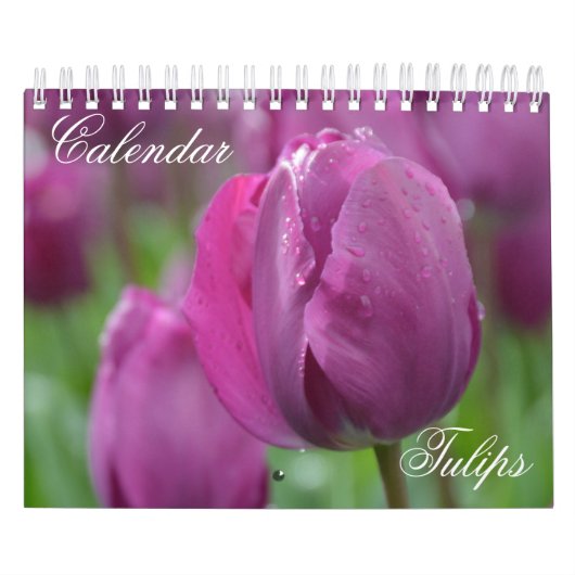 Tulipes Calendrier (Protection)