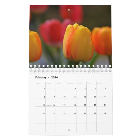 Tulipes Calendrier (Feb 2026)