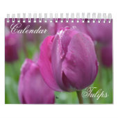 Tulipes Calendrier (Protection)