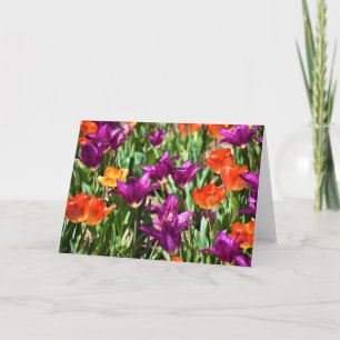 Tulipes, carte