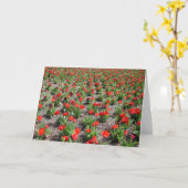 Tulipes, carte (Fleur jaune)