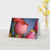 Tulipes • Carte de voeux (Fleur jaune)