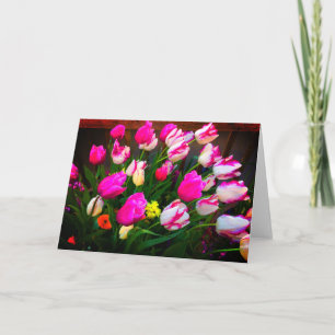 Tulipes Christmas Dream et Affaire #1 Carte