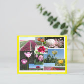 Tulipes Collage do-it-yourself & Poussière. Carte  (Debout devant)