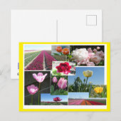 Tulipes Collage do-it-yourself & Poussière. Carte  (Devant / Derrière)