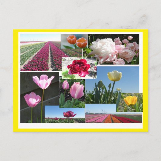 Tulipes Collage do-it-yourself & Poussière. Carte  (Devant)