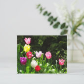 Tulipes colorées DO-IT-YOURSELF carte postale (Debout devant)