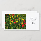 Tulipes colorées - Merci (Devant / Derrière)