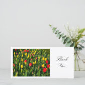 Tulipes colorées - Merci (Debout devant)