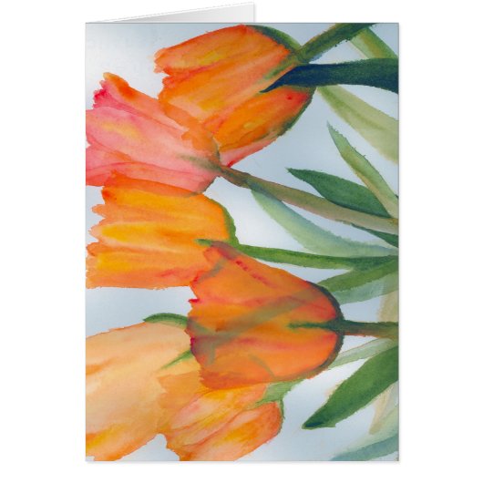 Tulipes d'agrumes orange (Devant)