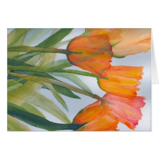 Tulipes d'agrumes orange (Devant horizontal)