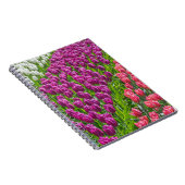 Tulipes dans le carnet de trois couleurs (Côté Droit)