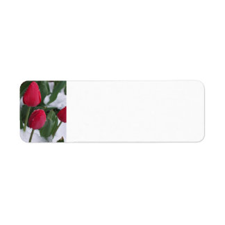 Tulipes dans les étiquettes de adresse de neige
