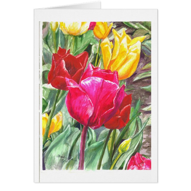 Tulipes dans leur meilleur (Devant)