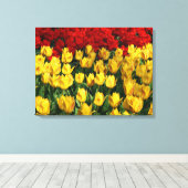 Tulipes D'Art En Toile (Insitu (Plancher de Bois))