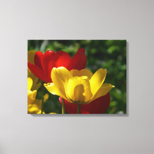 Tulipes D'Art En Toile