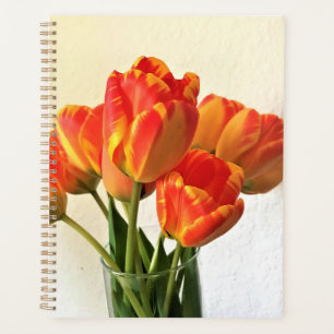 Tulipes de Banja Luka