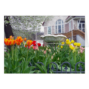 Tulipes de printemps