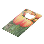Tulipes de printemps (Devant Angle)