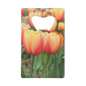 Tulipes de printemps (Dos)