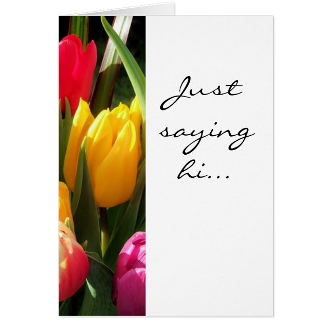 tulipes, dis bonjour... (Devant)