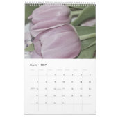Tulipes du Calendrier des Jardins (Mar 2027)
