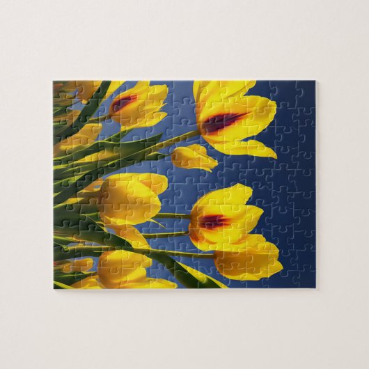 Tulipes en fleurs jaunes, puzzle (Horizontal)
