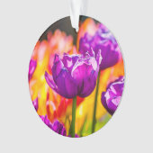 Tulipes Enchantant violet (devant)