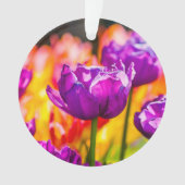 Tulipes Enchantant violet (devant)