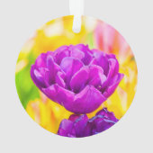 Tulipes Enchanter 15 (dos)