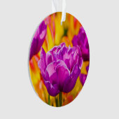 Tulipes Enchanter Violet (devant)