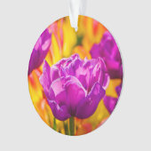 Tulipes Enchanter Violet (devant)