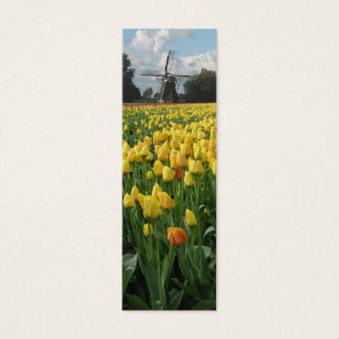 Tulipes et moulin à vent de ressort