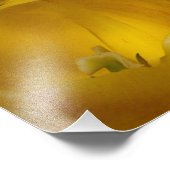 Tulipes jaunes 20" x 16" Impression photo (Coin)